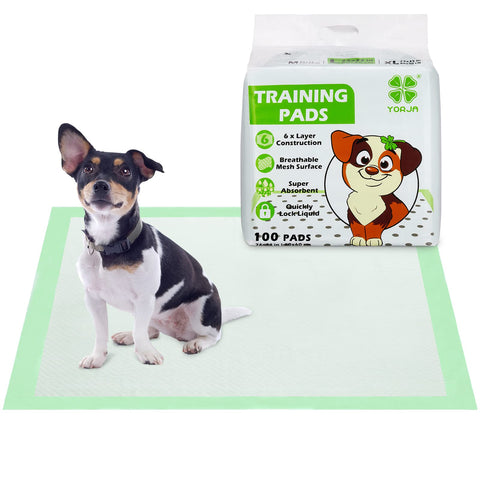 Puppy Training Pad